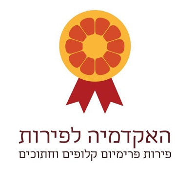 לוגו