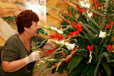 משלוחי פרחים במועצה אזורית אשכ