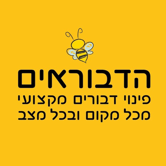 לוגו