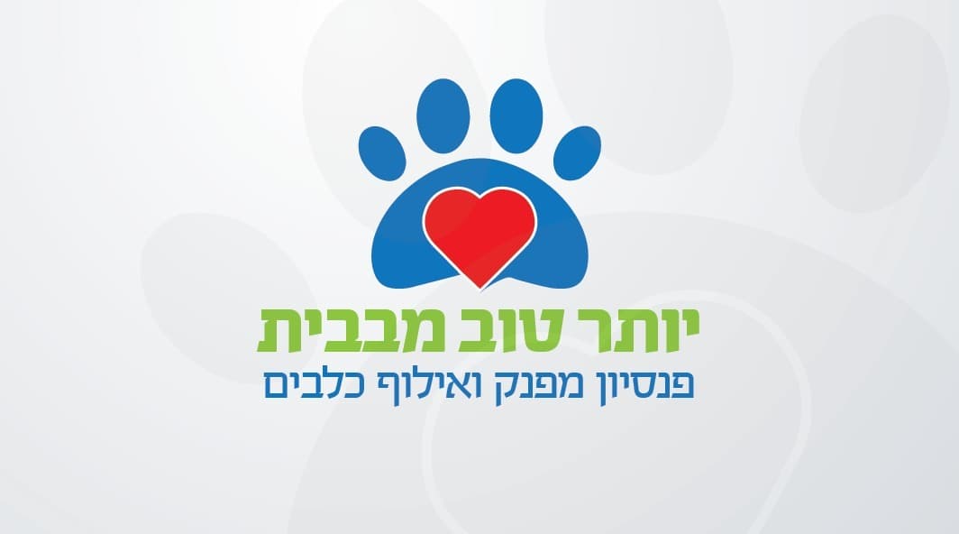 יותר טוב מבבית - הכל לכלב,פנסיון לכלבים image