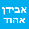 אבידן אהוד ספק אבני חן לשיבוץ לפי מידה