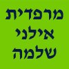 מרפדית אילני שלמה