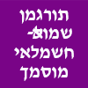 תורגמן שמואל- חשמלאי מוסמך