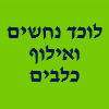 א.מ לוכד נחשים ואילוף כלבים