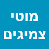 מוטי צמיגים