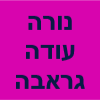 טיפול רגשי ופסיכותרפיה- נורה עודה גראבה