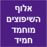 אלוף השיפוצים מוחמד חמיד