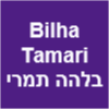 Bilha Tamari בלהה תמרי image