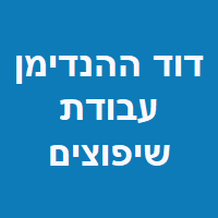 דוד ההנדימן - עבודות שיפוצים