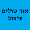 אור טוליפ עיצוב