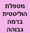 מטפלת הוליסטית ברמה גבוהה