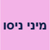 מיני ניסו